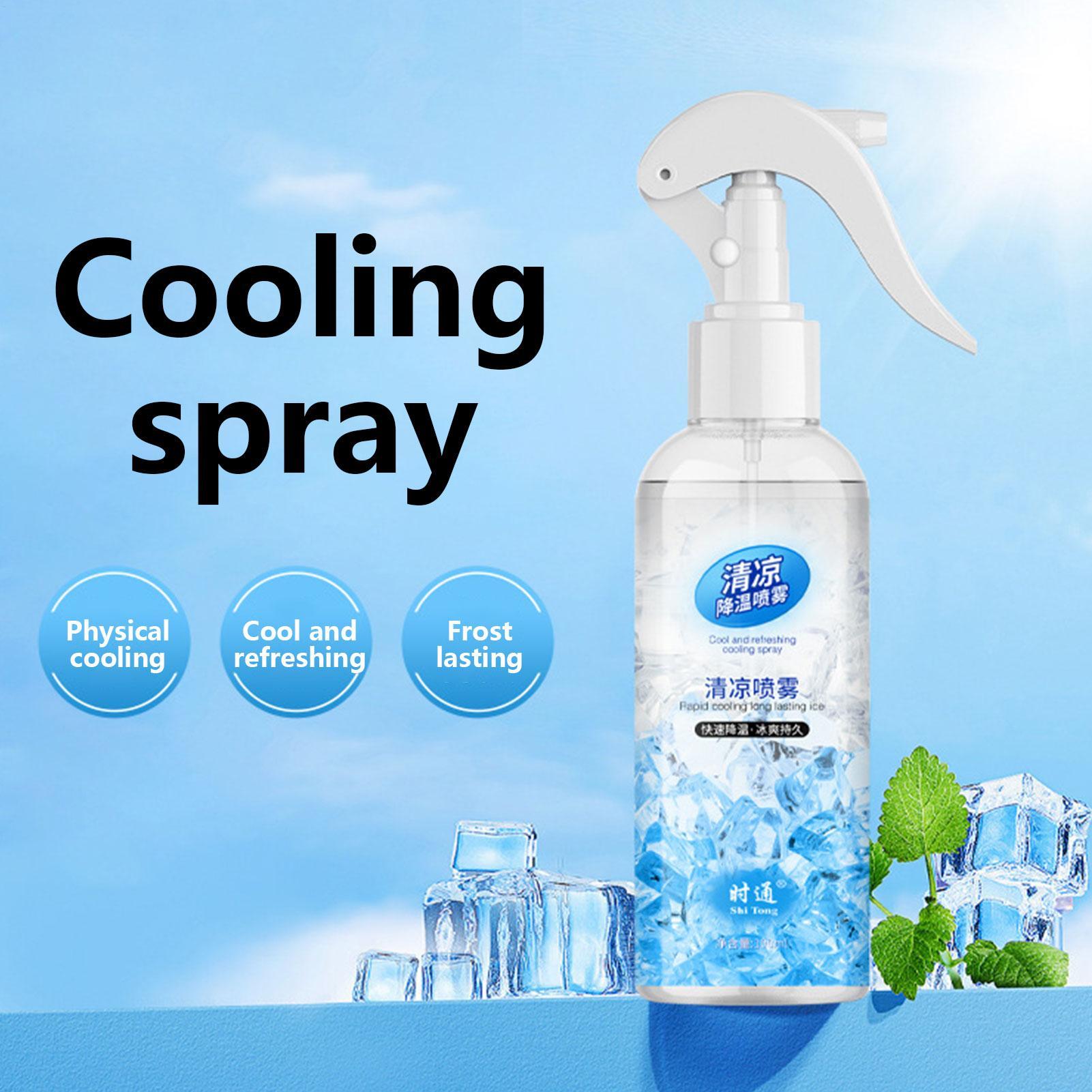 Hair Care Spray - 100ml Verkoelende Mistspray, verzachtende en beschermende